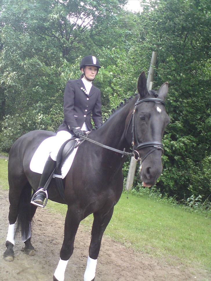 Oldenborg Møllevangs Lucky ( aflivet ) billede 14