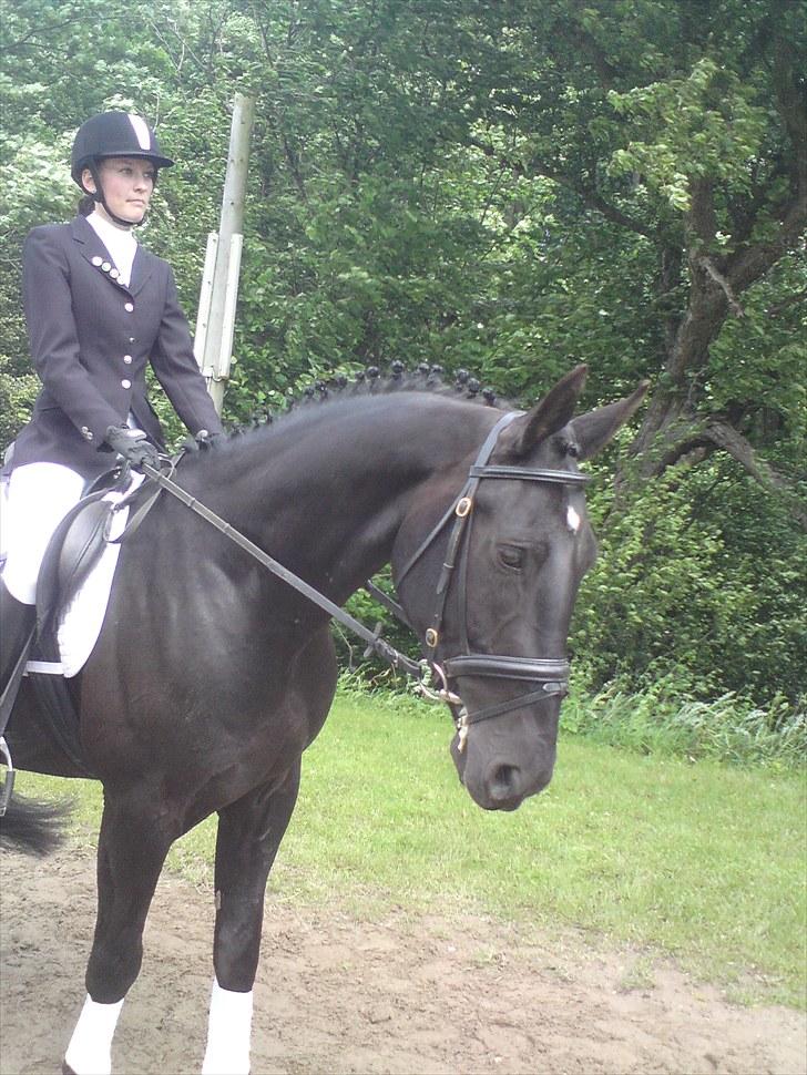 Oldenborg Møllevangs Lucky ( aflivet ) billede 16