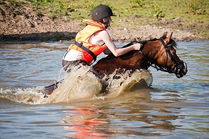 Anden særlig race Trunte † - Fotograf: Maria Rasch - Der er fuldt fart på den lille pige xD  billede 18