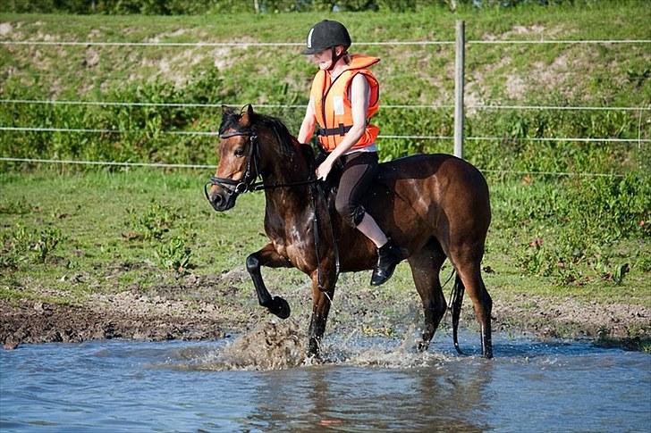 Anden særlig race Trunte † - Fotograf: Maria Rasch billede 19