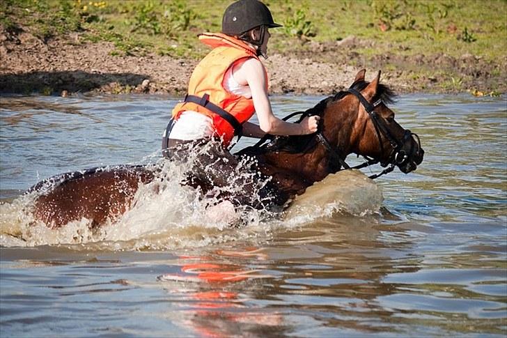 Anden særlig race Trunte † - Fotograf: Maria Rasch billede 20