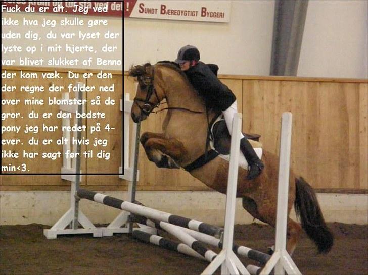 Anden særlig race Chess - Det billed kan iIKKE beskrives med ord det er alt  ;´)<3 billede 9
