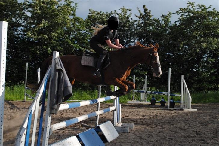 Anden særlig race Sahara ** LÅNTE ** - spriing :D <3  billede 6