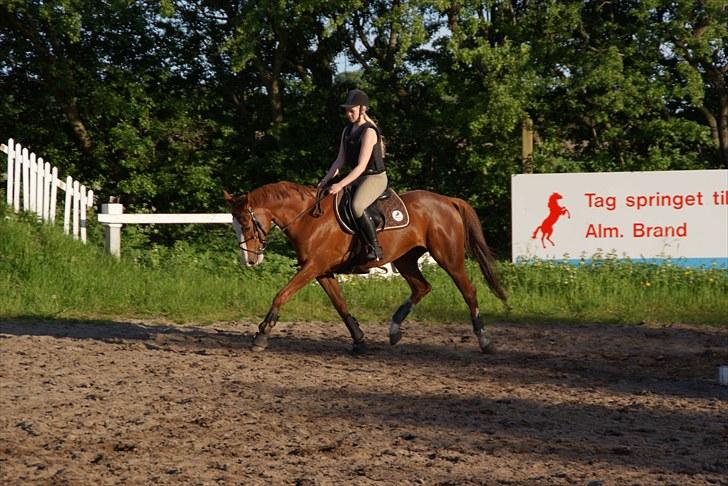 Anden særlig race Sahara ** LÅNTE ** -  :D <3  billede 13