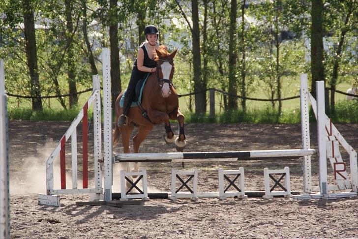 Anden særlig race Sahara ** LÅNTE ** -  :D <3 billede 11