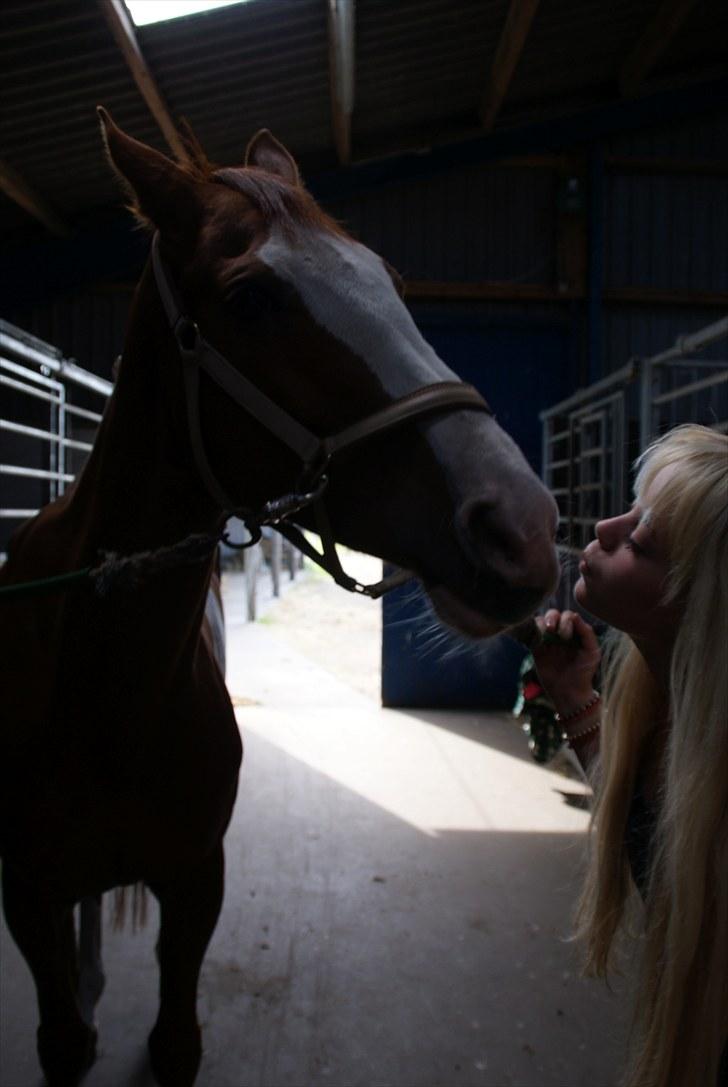 Anden særlig race Sahara ** LÅNTE ** - mys min smukkepige<3 billede 16