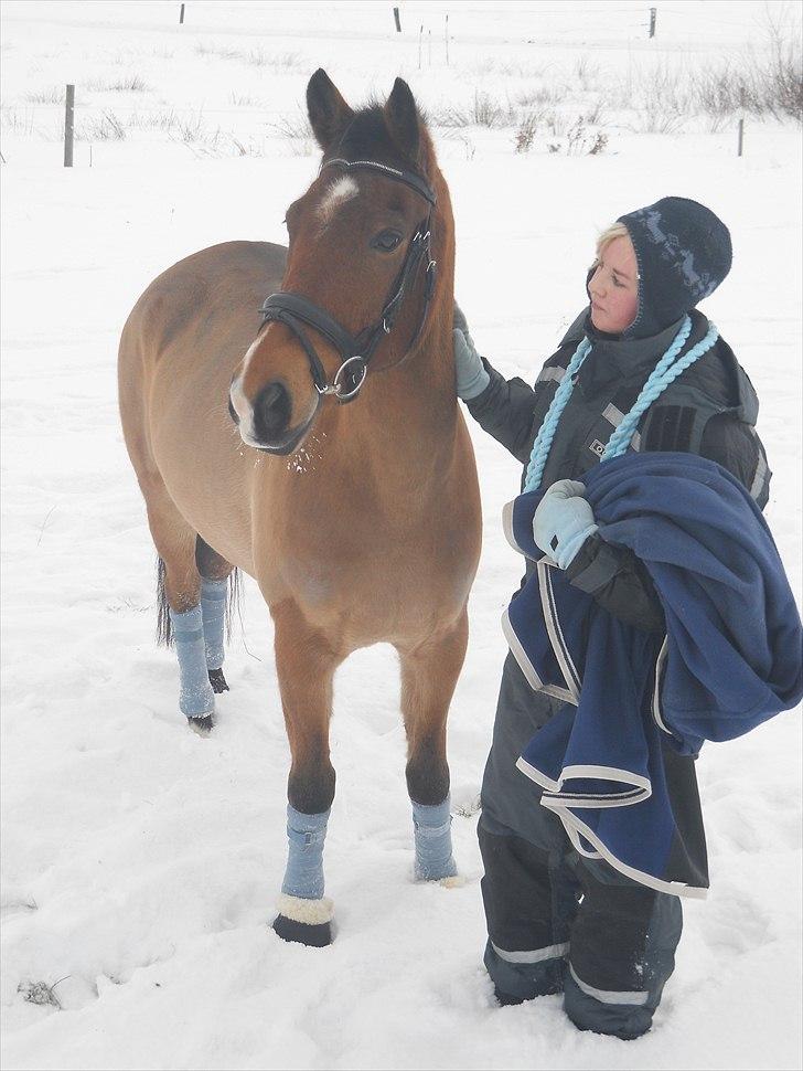 Appaloosa Andree DRØMMEPONYEN!<3 SOLGT - Min bedste ven!:*<3 billede 10