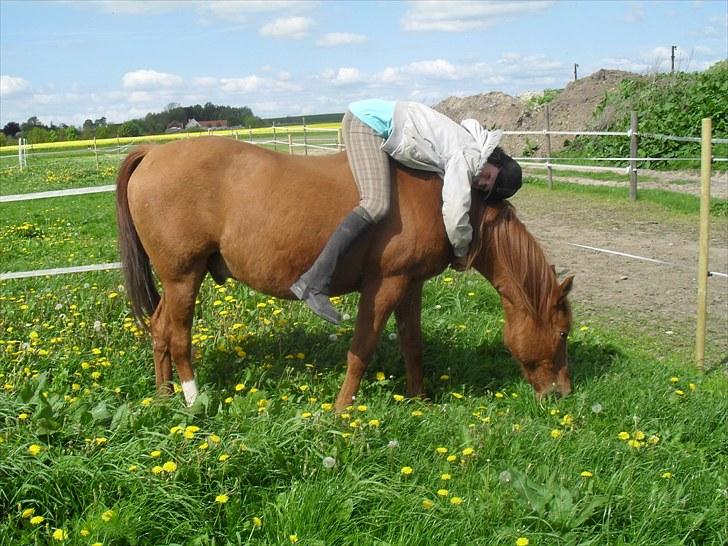 DSP /Araber Kasmir Min drøm<3 - love you <3  billede 5