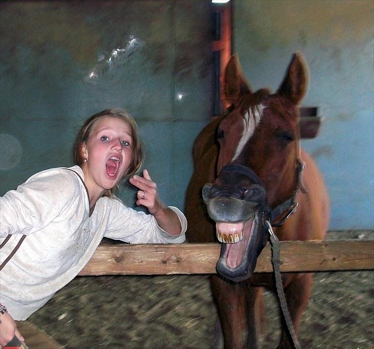 DSP /Araber Kasmir Min drøm<3 - mig der prøver at lære kasmir at gabe :D han kunne til sidst billede 8