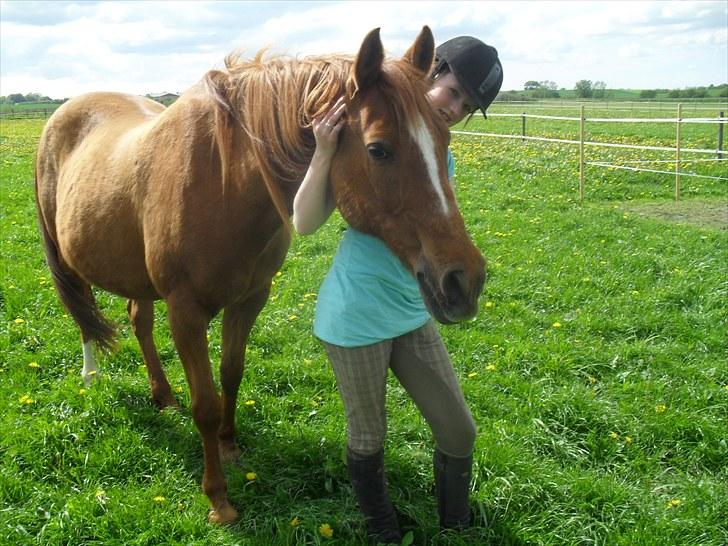 DSP /Araber Kasmir Min drøm<3 - os to for altid min prins<3 skal til at ride på marken med kasmir<3  billede 9