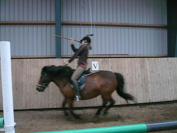 Dartmoor Molly - Ringridning 2010 ! ;P billede 10