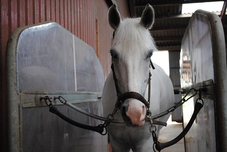 Anden særlig race Ronja - Velkommen til mig og Ronjas profil:D billede 1