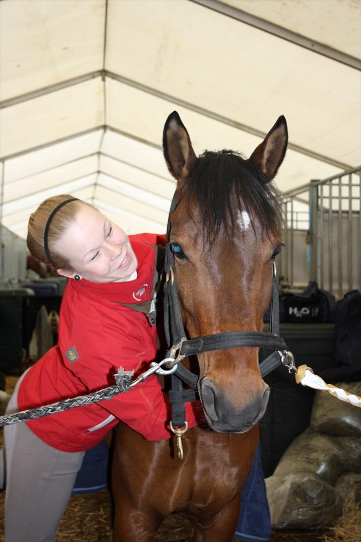 Hollandsk Sportspony Olaf *B-pony*  SOLGT - DU ER MIIN DRØMME PONY!!!! :* billede 19