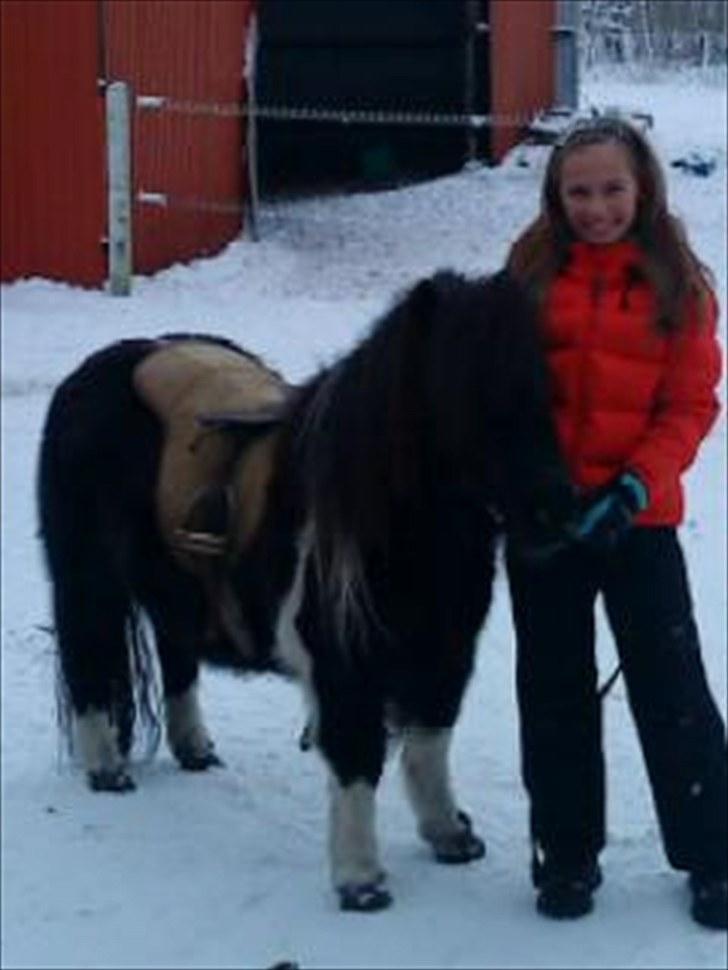 Shetlænder Josephine  *min moster´s - Mig og Josephine som skal til at ride i sneen billede 10