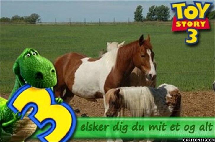 Shetlænder sik R.I.P billede 17
