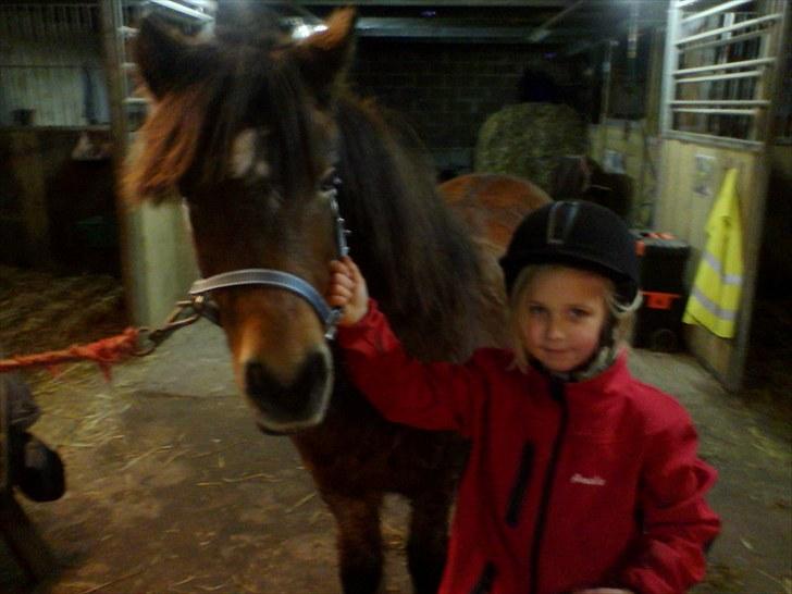 Anden særlig race Sesam  SOLGT - Velkommen til Sesams profil
billede af sesam og mig, da jeg lige havde fået ham billede 1