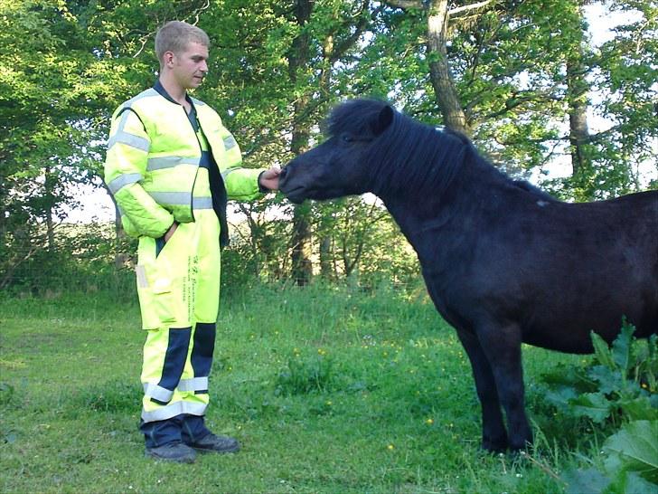 Anden særlig race Francisko's Mini Fræser - min dejlige pony, og min dejlige kæreste. (:  billede 9