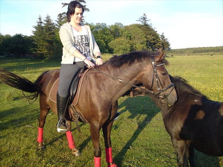 Anden særlig race Francisko's Mini Fræser - uuh det klør ! :)  billede 10