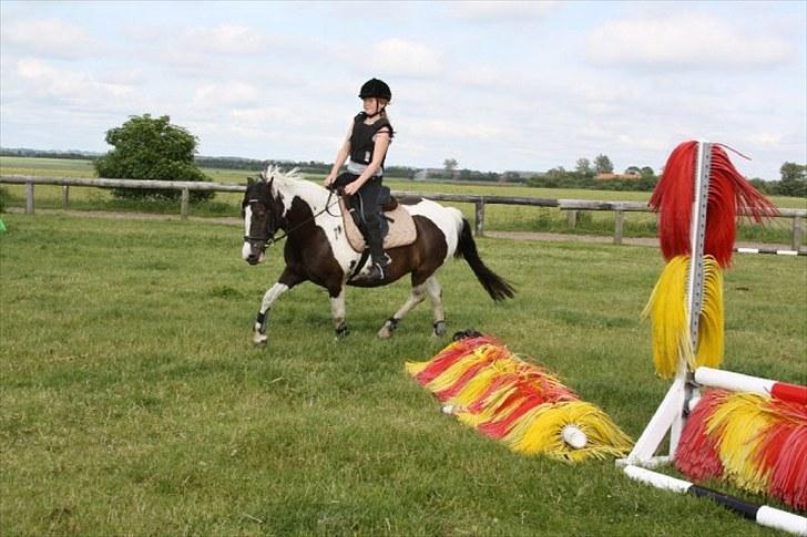 Pinto Daisy Stald Hosby - Springundervisning d 22. juni 2010. Foto: Winnie billede 7