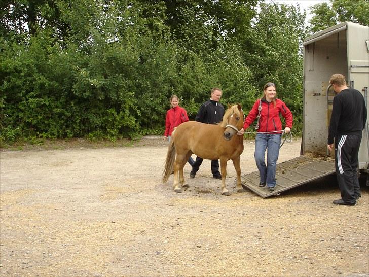Anden særlig race Otto R.I.P. - Velkommen til Ottos profil... :) billede 1