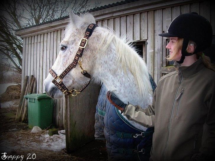Anden særlig race Snappy .<'3 - Lov mig at du ALDRIG glemmer mig, for jeg glemmer aldrig dig min pige. <3 Du vil altid blive gemt i mit hjerte. Foto: Maja TAK! billede 20