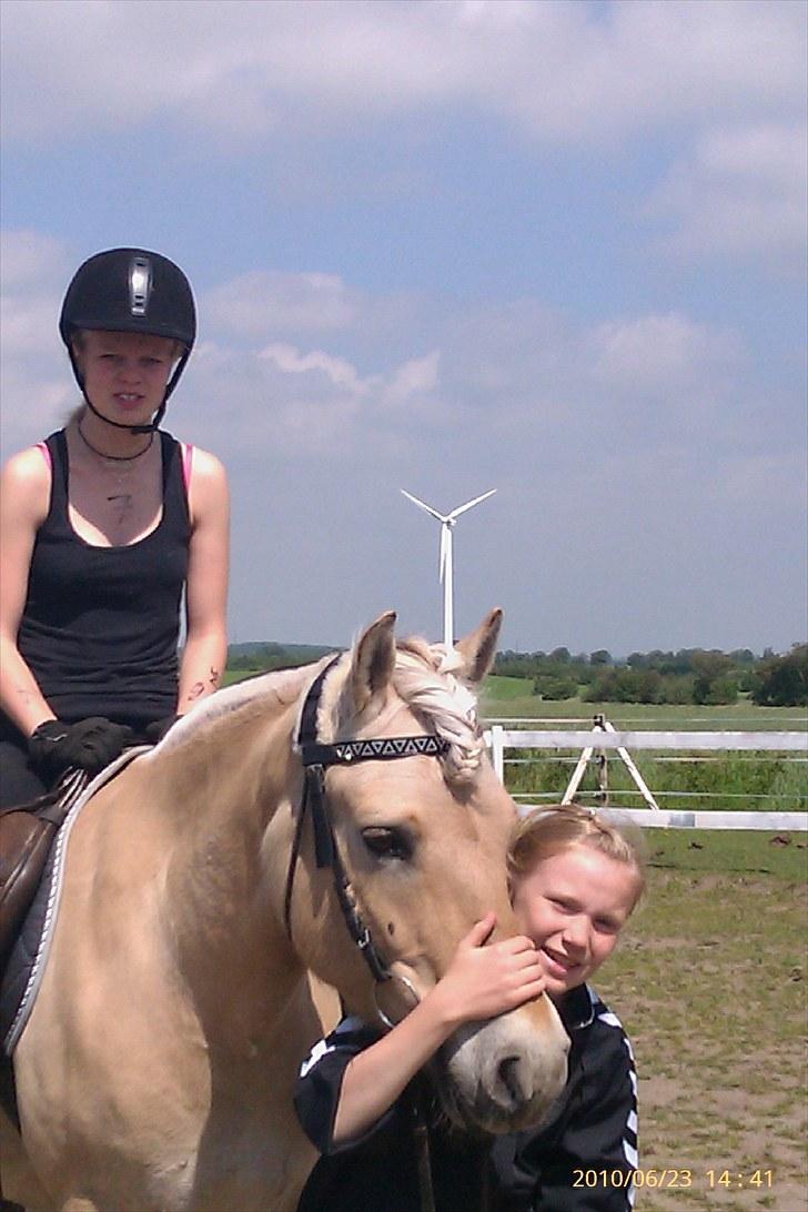 Fjordhest Romeo's Fakir  R.I.P :'( - min veninde skulle lige være med på et billede med fakir og mig men jeg var ikke klar så jeg er lidt sjov ud.. ha ha :D billede 19