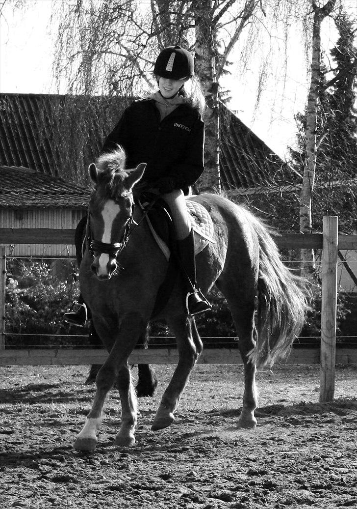 Anden særlig race Isobell billede 2