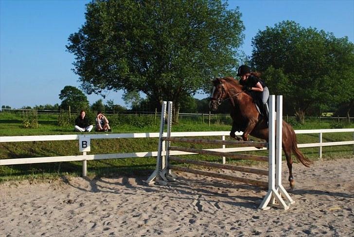Anden særlig race Isobell - 120 billede 6