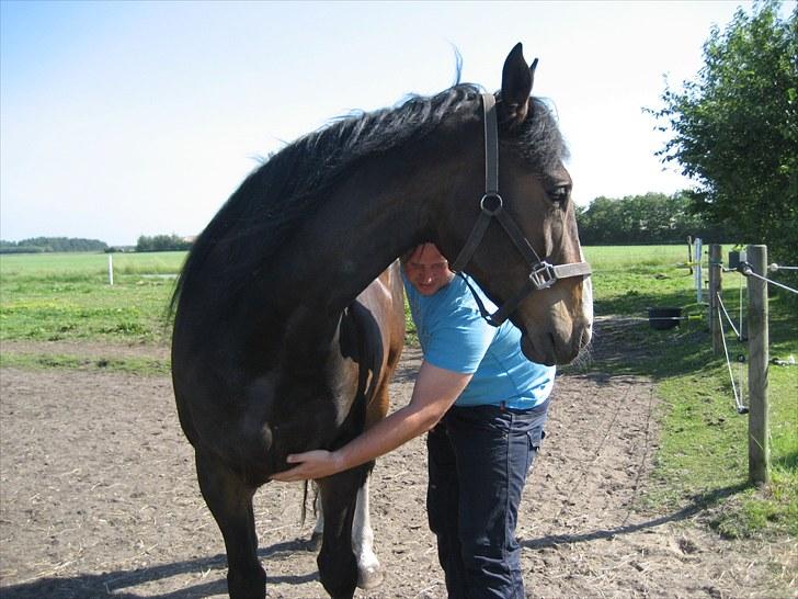 Anden særlig race Hera <3 "Solgt" - Dejligt med en nusse-tur billede 5