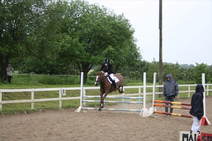 Anden særlig race Isobell - LB hun var super :D <3 billede 7