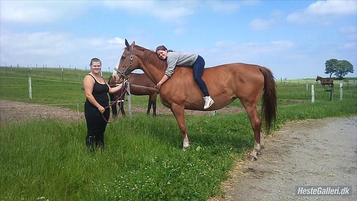 Anden særlig race Ruth Seneca billede 4