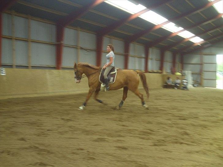 Anden særlig race Ruth Seneca billede 11