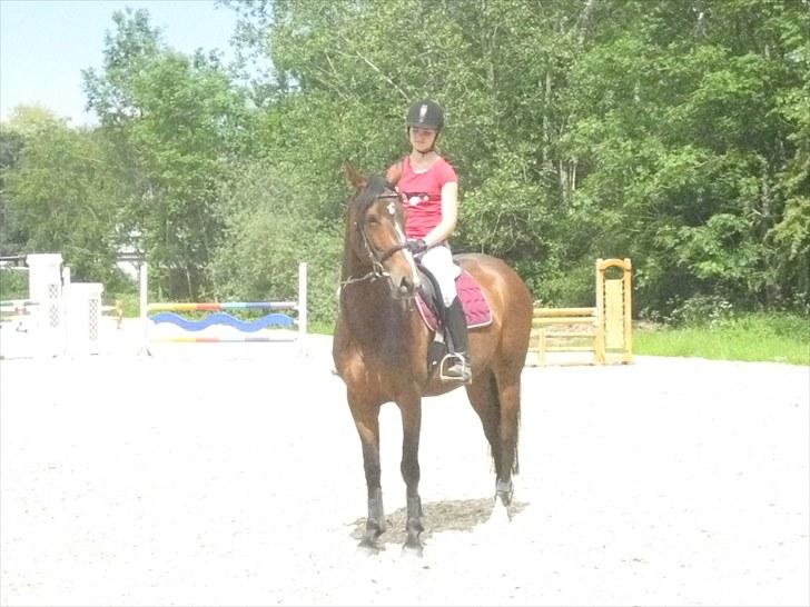 Dansk Varmblod Asjha Busbjerg - Vi ses nok igen, hejhej :P billede 8