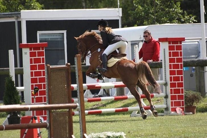 Anden særlig race Red ocean . SOLGT - 20 når enden er god er alting godt :D fra LB DM stilcupsprining kallehavegård.| foto: alberte bidstrup billede 20