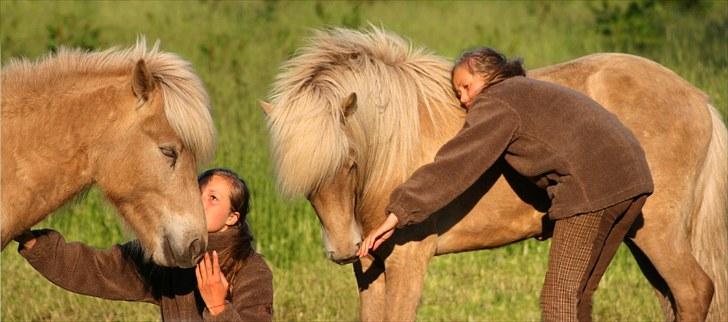 Islænder Kiljan - Hans 2 års fødselsdag billede 4