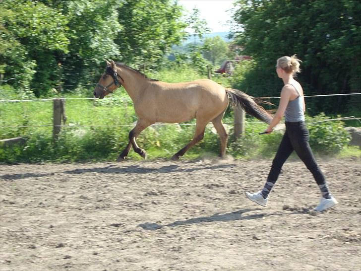 Anden særlig race  #  Mira  # - 23-06-2010. Mira og ny ejer billede 19