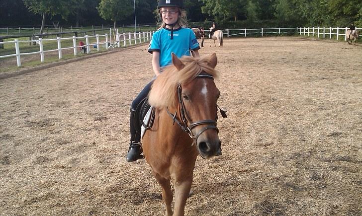 Anden særlig race Otto R.I.P. billede 11