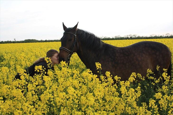 New Forest Kenzo Amarine  billede 20