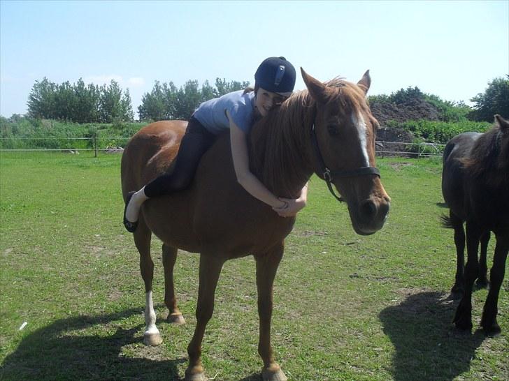 DSP /Araber Kasmir Min drøm<3 - mit ynglings billede af mig og kasmir:D<3 billede 14