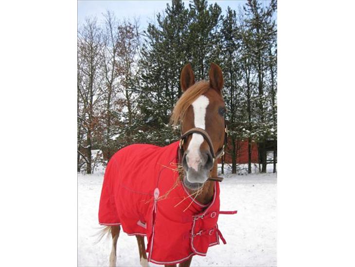 {{currentPhoto.altText}} billede {{currentPhoto.number}}