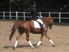 Oldenborg Tonedo!<3  *gl. part* [Tidl. part]