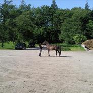 Anden særlig race Dargo #Sendt tilbage#