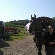 Anden særlig race Dargo #Sendt tilbage#