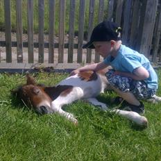 Anden særlig race lille mand hvil fred. :'(