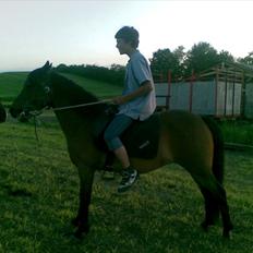 Anden særlig race Molly<3* tidligere  part 