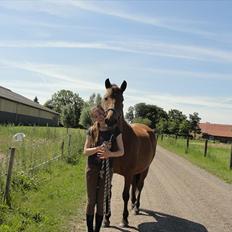 Anden særlig race Cherie *Gl. Part* (Solgt)