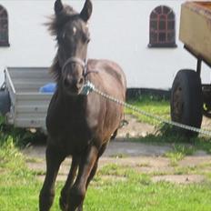 Frieser Thor<3 [SOLGT]