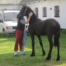 Frieser Thor<3 [SOLGT]