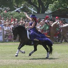 New Forest Lundemarksgårds Lady In B