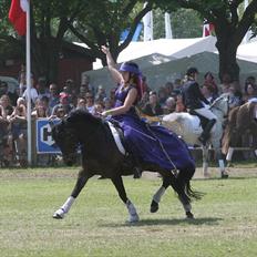 New Forest Lundemarksgårds Lady In B